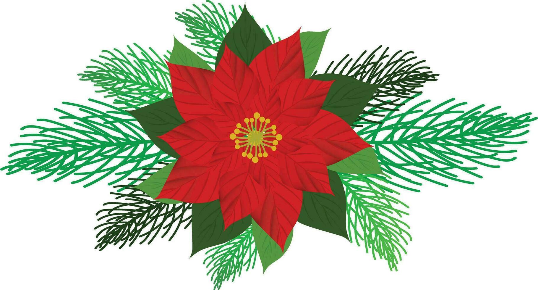 Vector Christmas tree branches and red poinsettia flower in a holiday line arrangement on a white  background