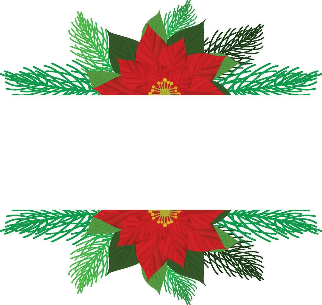 Vector Christmas tree branches and red poinsettia flower in a holiday line arrangement on a white  background
