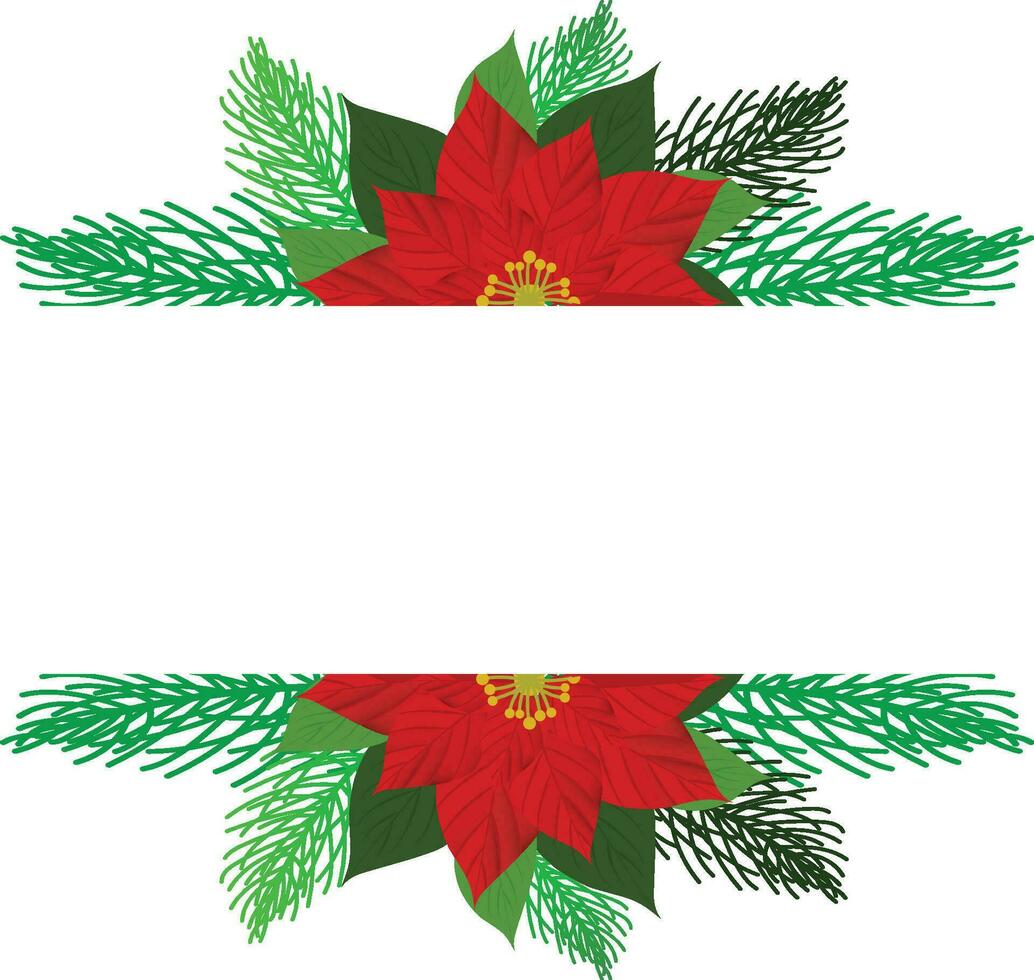 Vector Christmas tree branches and red poinsettia flower in a holiday line arrangement on a white  background