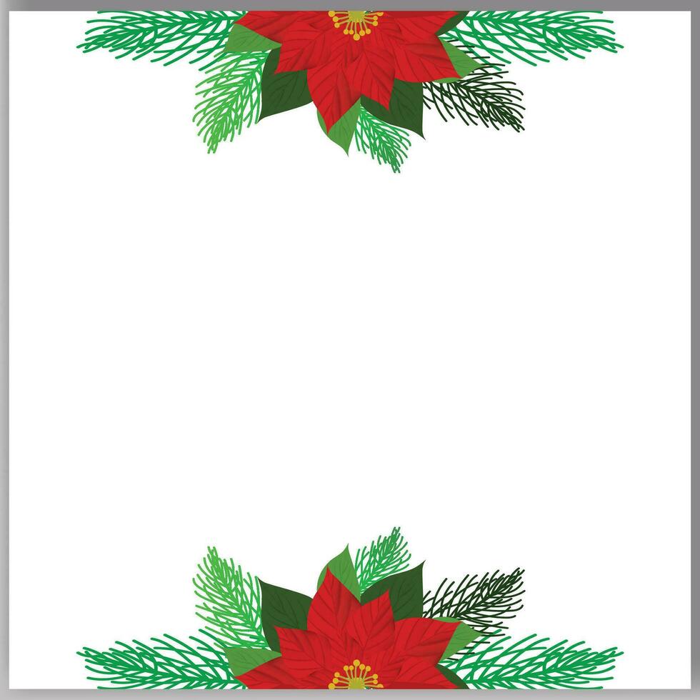 Vector Christmas tree branches and red poinsettia flower in a holiday line arrangement on a white  background