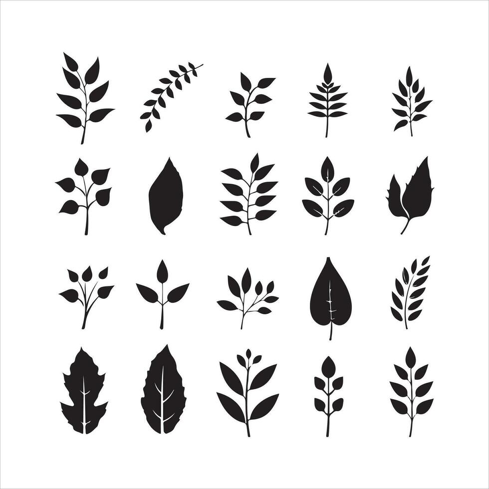 A black silhouette leaf symbol set vector