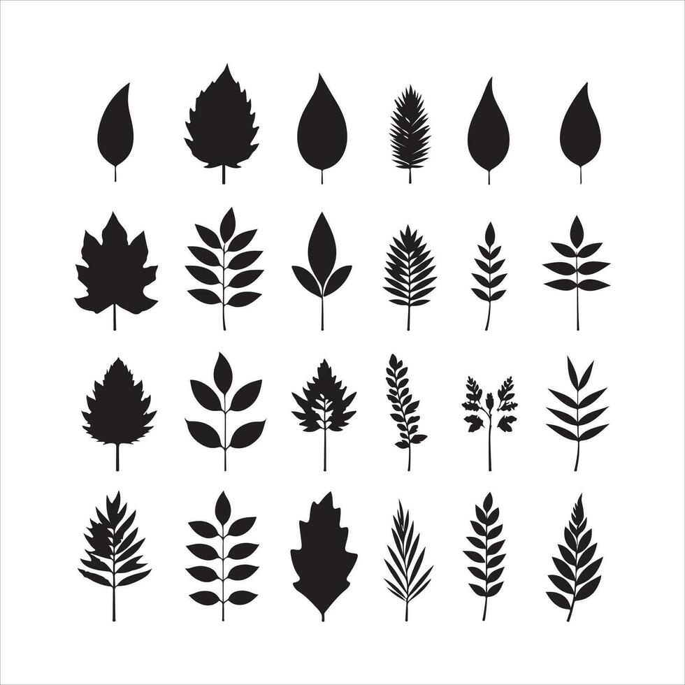 A black silhouette leaf symbol set vector