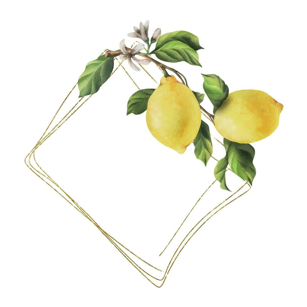 Lemons are yellow, juicy, ripe with green leaves, flower buds on the branches, whole and slices. Watercolor, hand drawn botanical illustration. Frame, template on a white background. vector