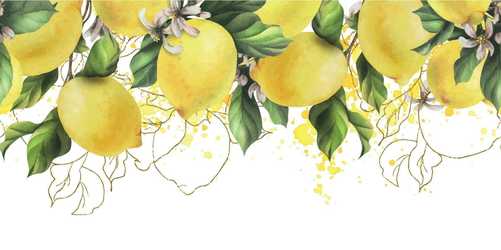 limones son amarillo, jugoso, maduro con verde hojas, flor brotes en el sucursales, entero. acuarela, mano dibujado botánico ilustración. sin costura frontera en un blanco antecedentes vector