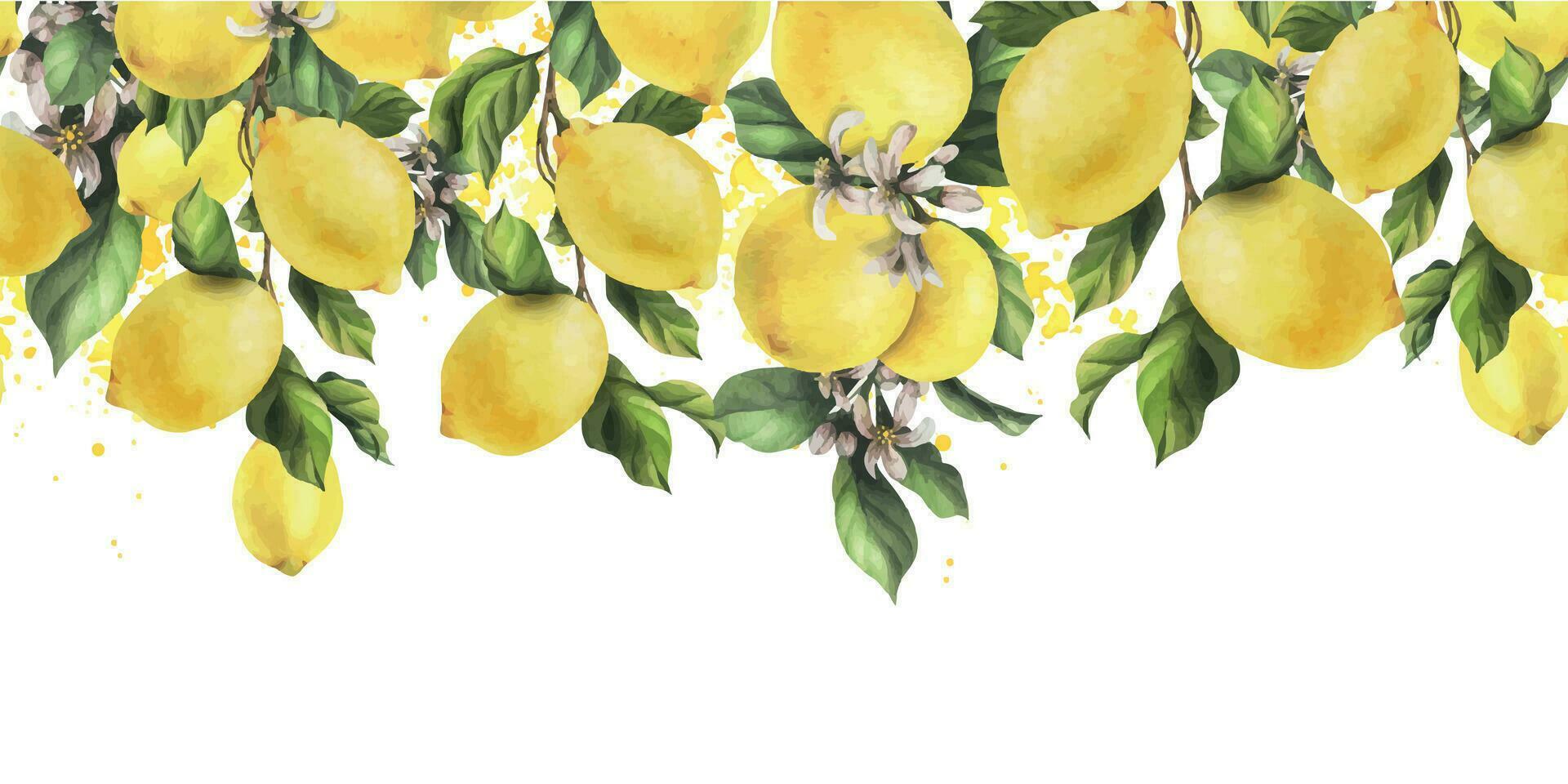 Lemons are yellow, juicy, ripe with green leaves, flower buds on the branches, whole. Watercolor, hand drawn botanical illustration. Seamless border on a white background vector