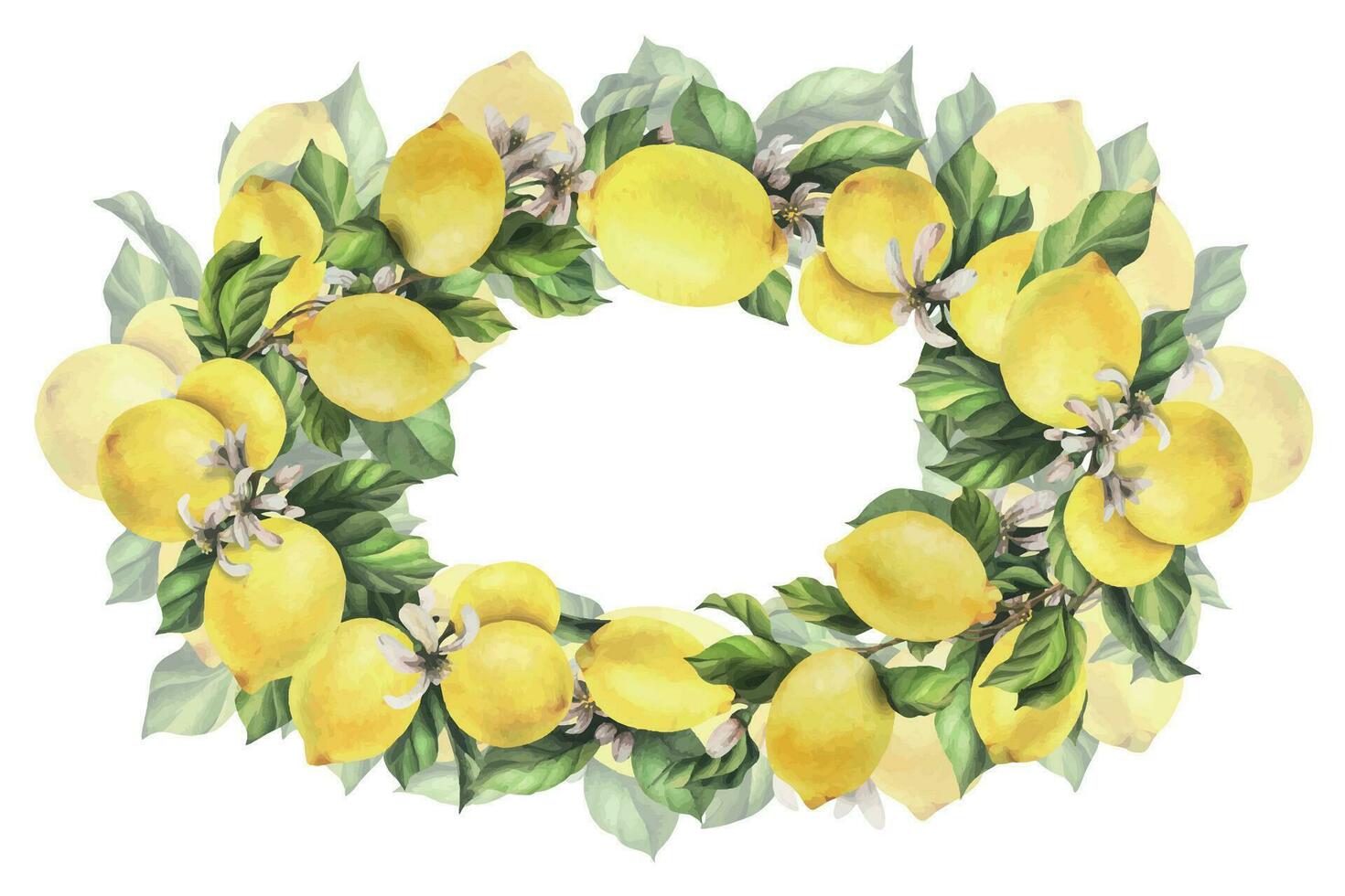 limones son amarillo, jugoso, maduro con verde hojas, flor brotes en el sucursales, todo y rebanadas acuarela, mano dibujado botánico ilustración. oval marco, guirnalda, modelo en un blanco antecedentes. vector