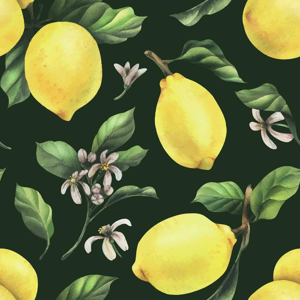 Lemons are yellow, juicy, ripe with green leaves, flower buds on the branches, whole and slices. Watercolor, hand drawn botanical illustration. Seamless pattern on a green background vector