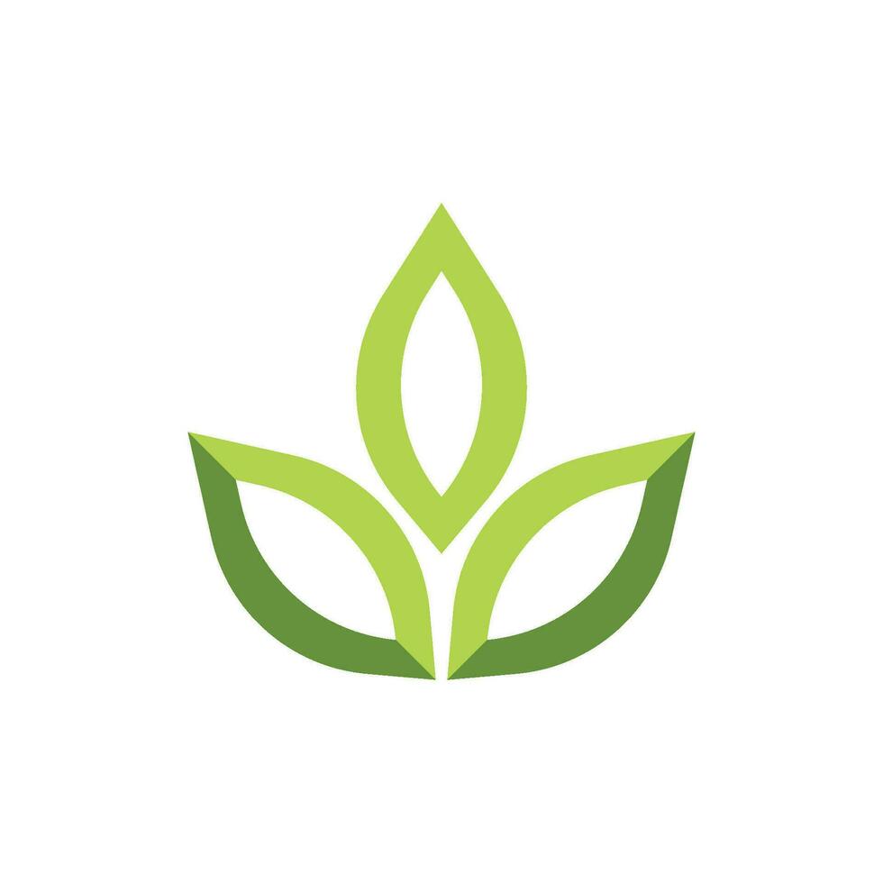 logotipos de la ecología de la hoja del árbol verde vector