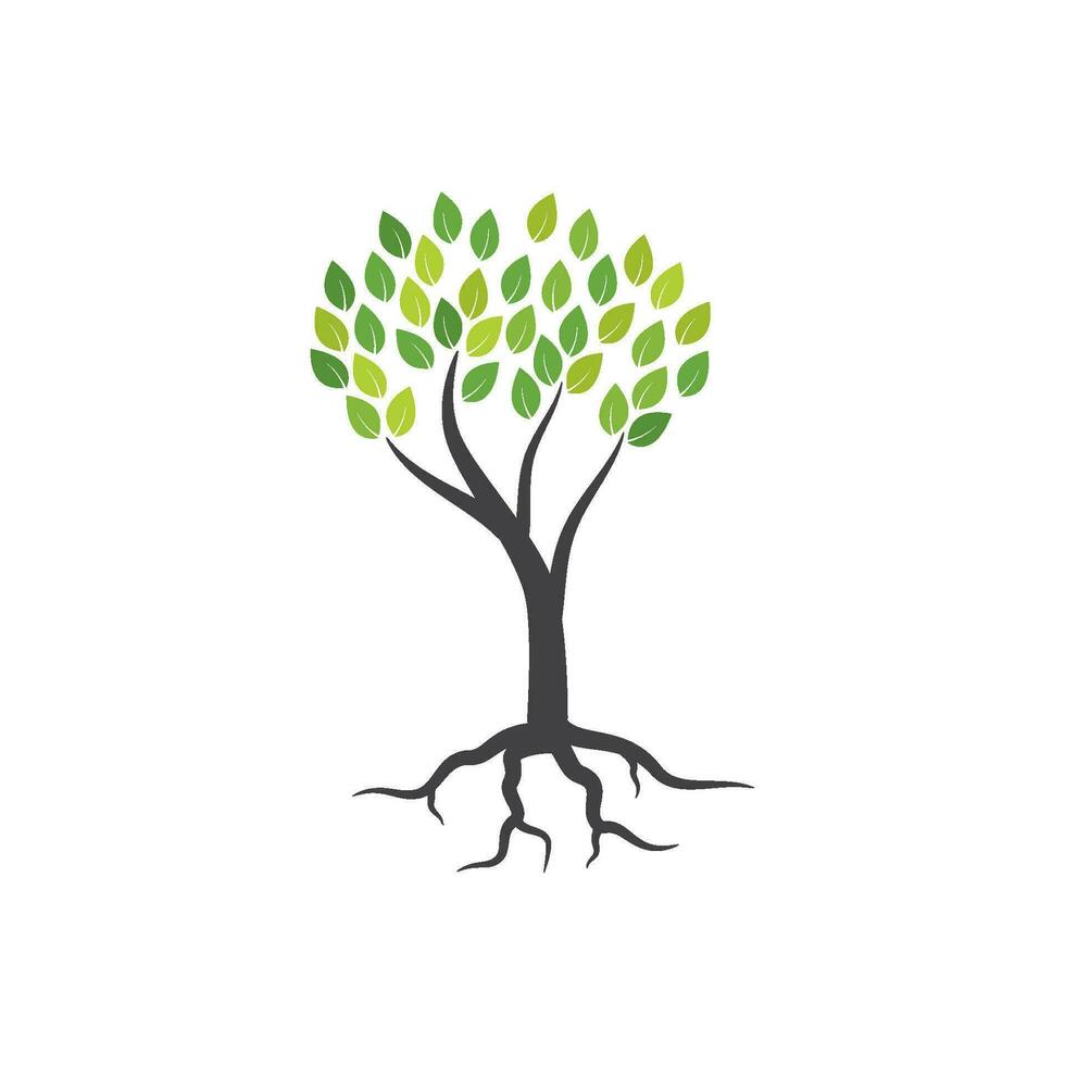 Tree branch vector ilustration design