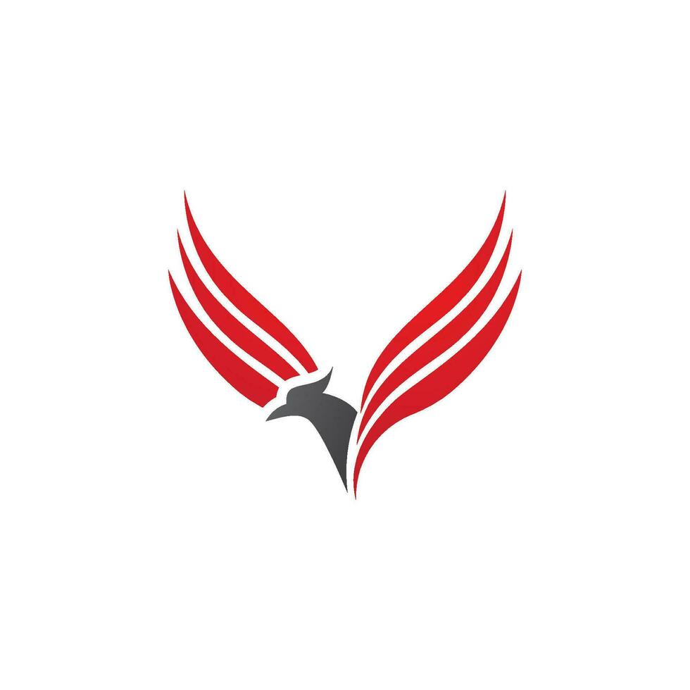 Falcon Logo Template vector