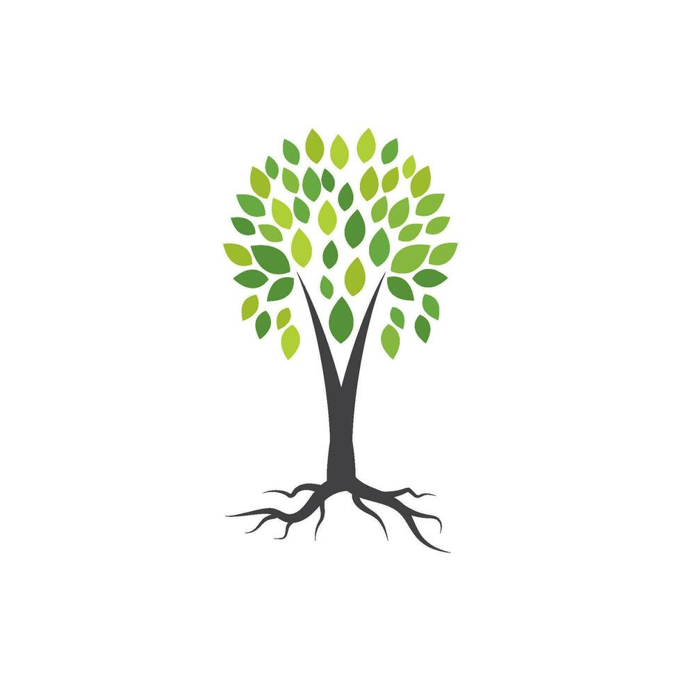 Tree branch vector ilustration design