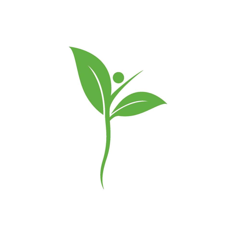 logotipos de la ecología de la hoja del árbol verde vector