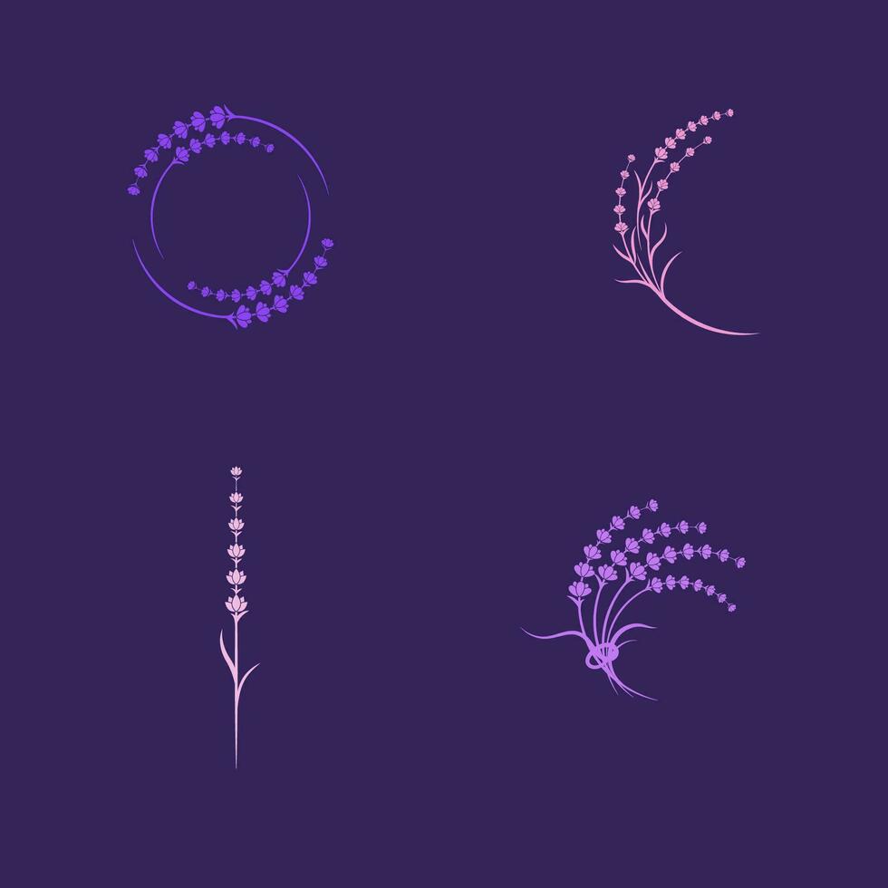 Lavender flower Vector icon illustration