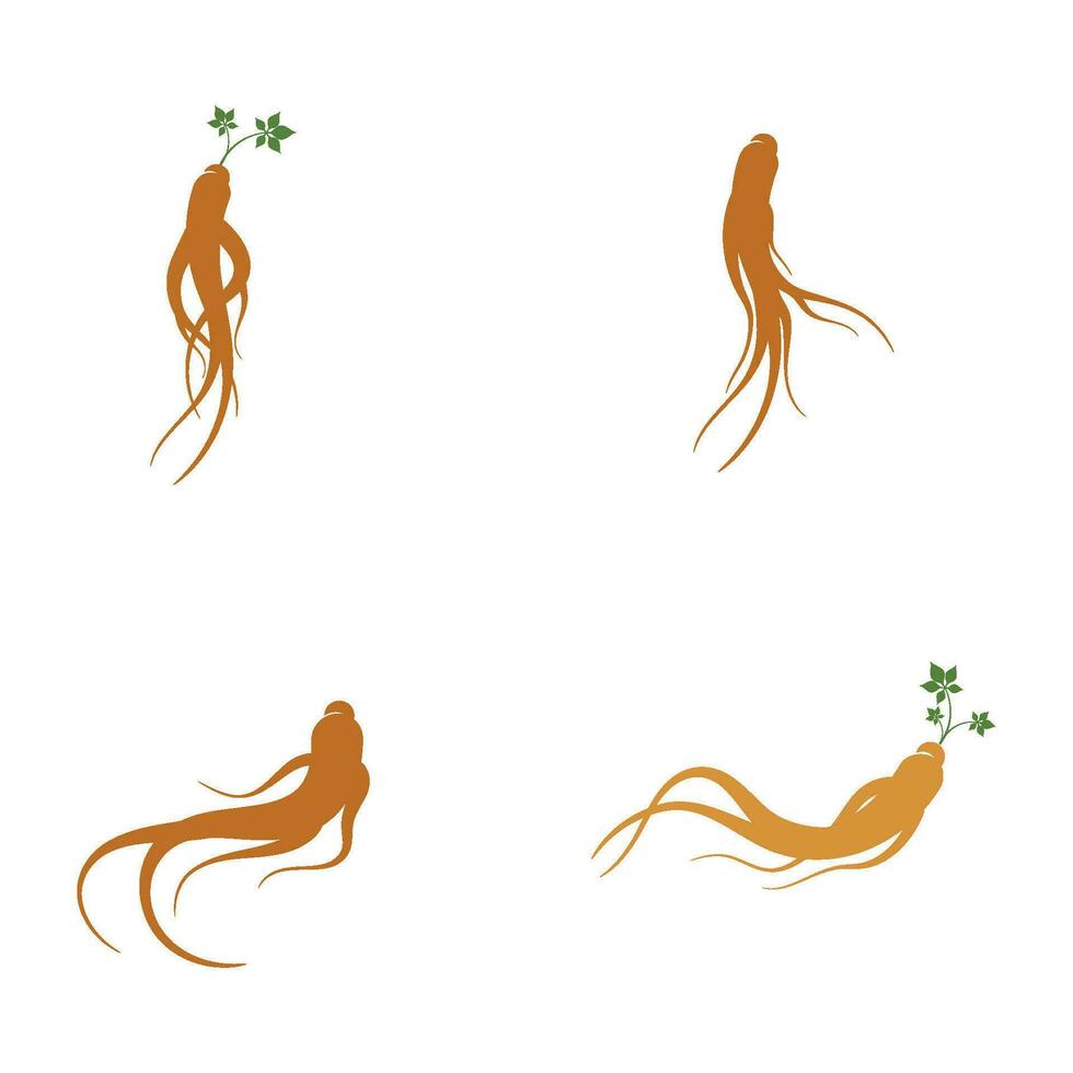 Ginseng vector icon illustration