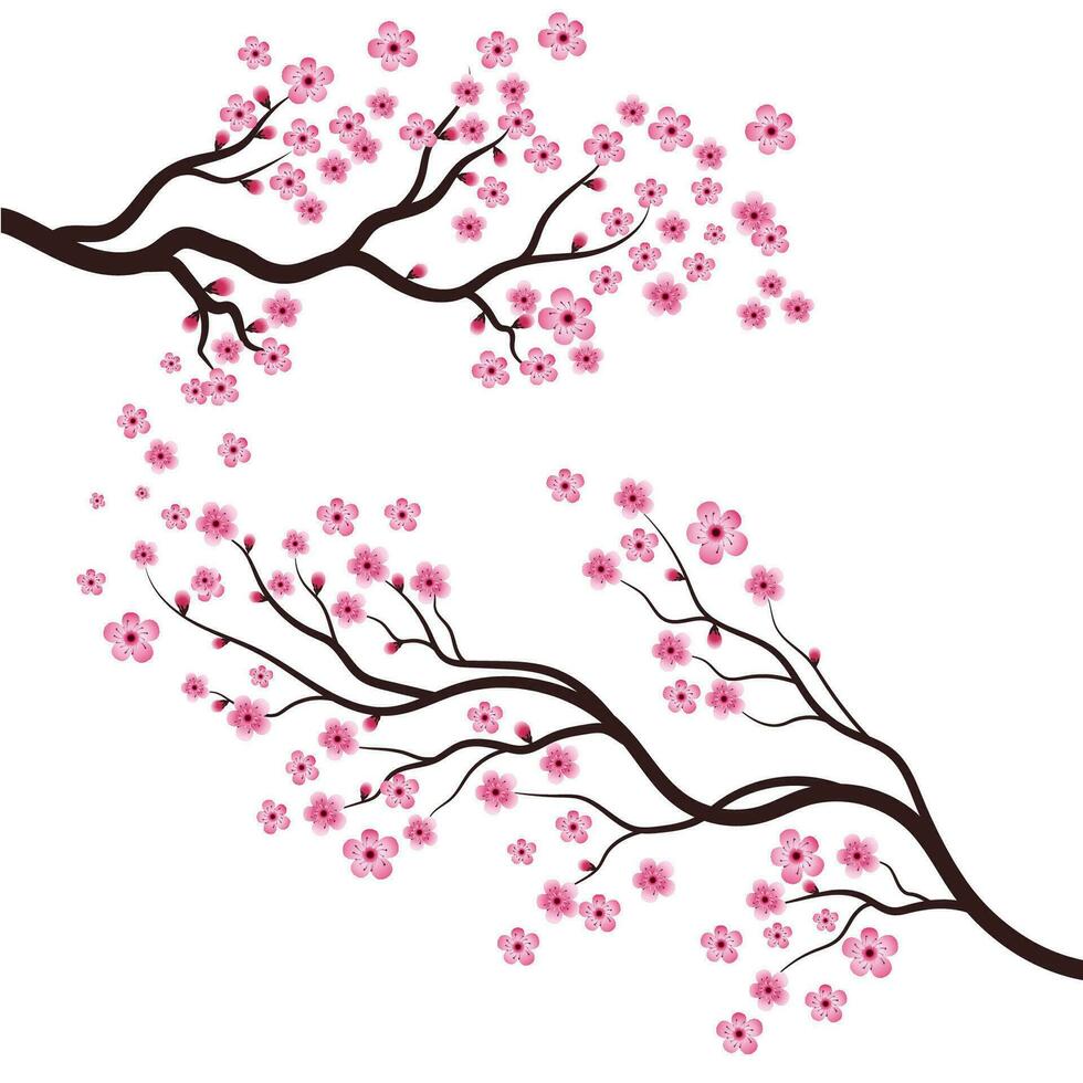 Sakura Beauty flower Vector icon illustration design