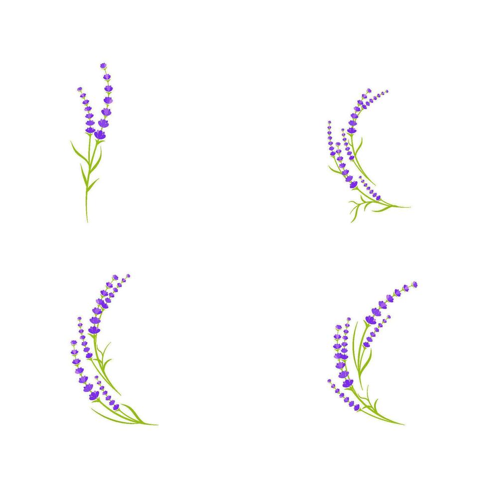 ilustración de icono de vector de flor de lavanda