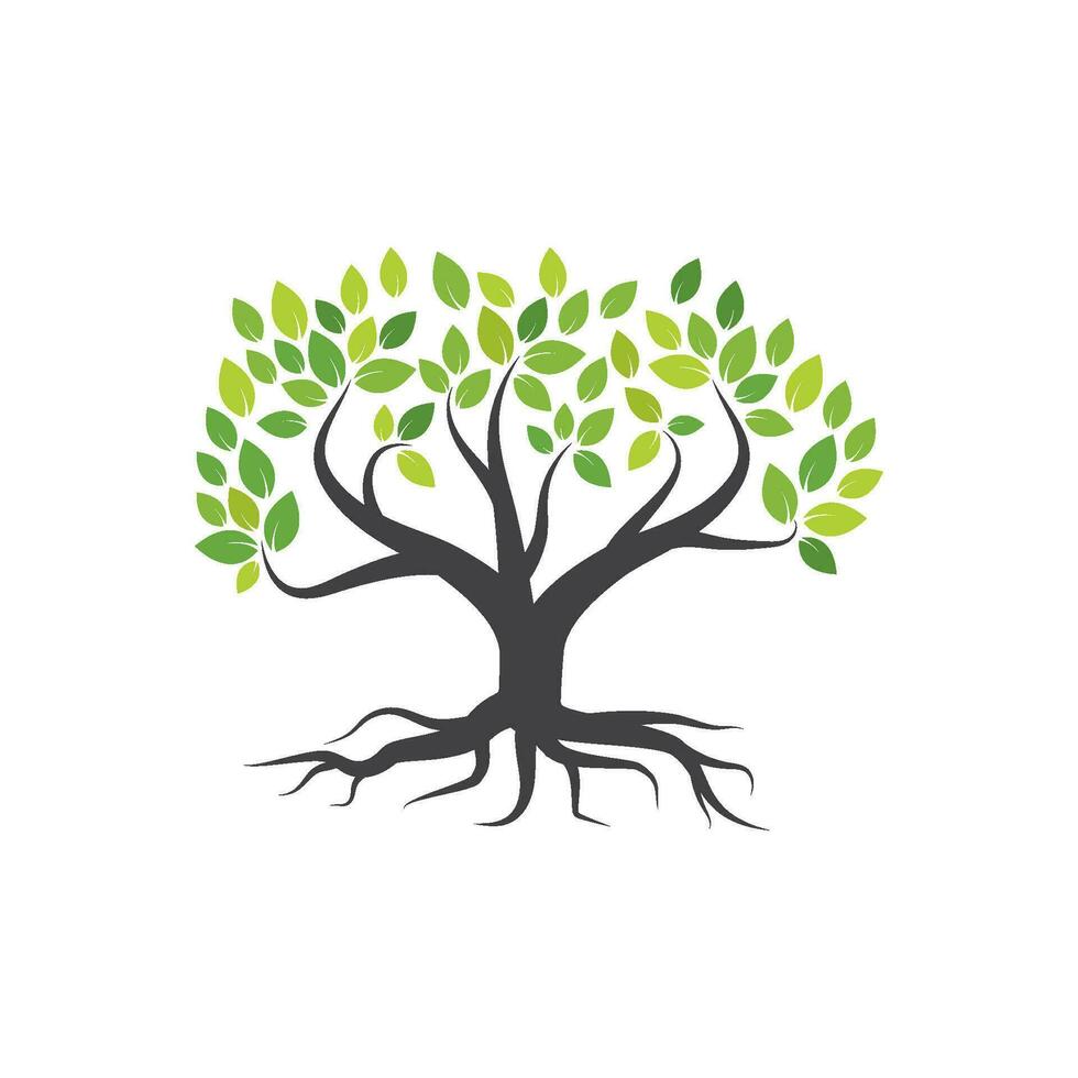 Tree branch vector ilustration design
