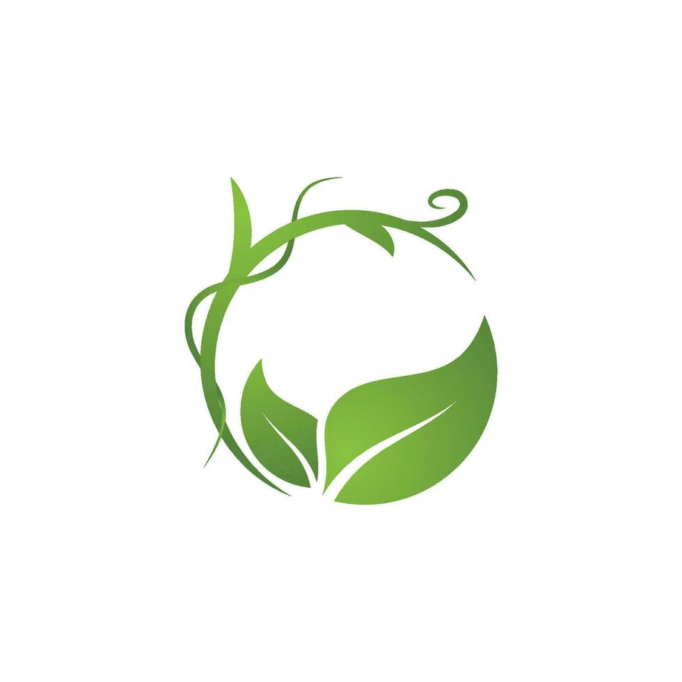 Bio leaf Icon Illustration design vector