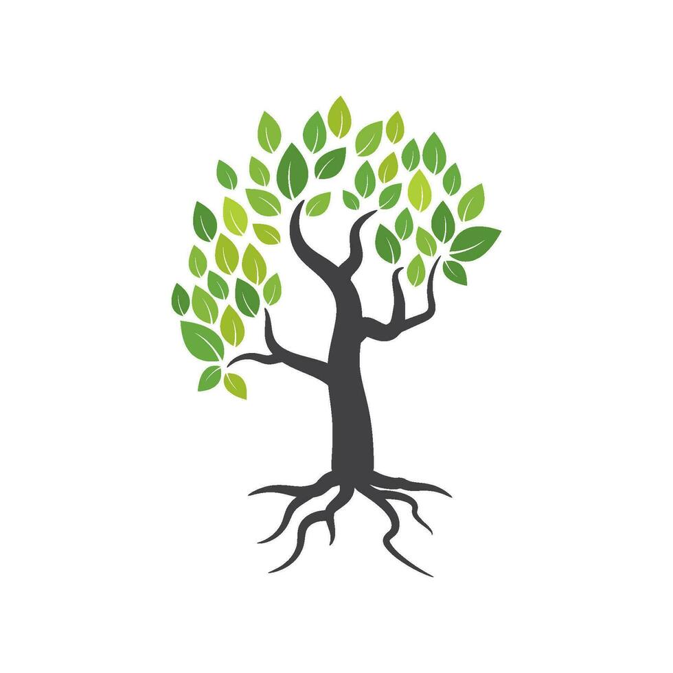 Tree branch vector ilustration design