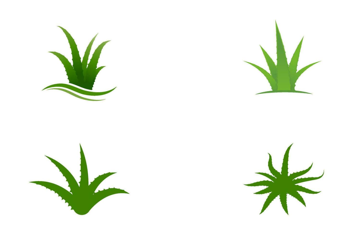 diseño de ilustración de vector de aloe vera