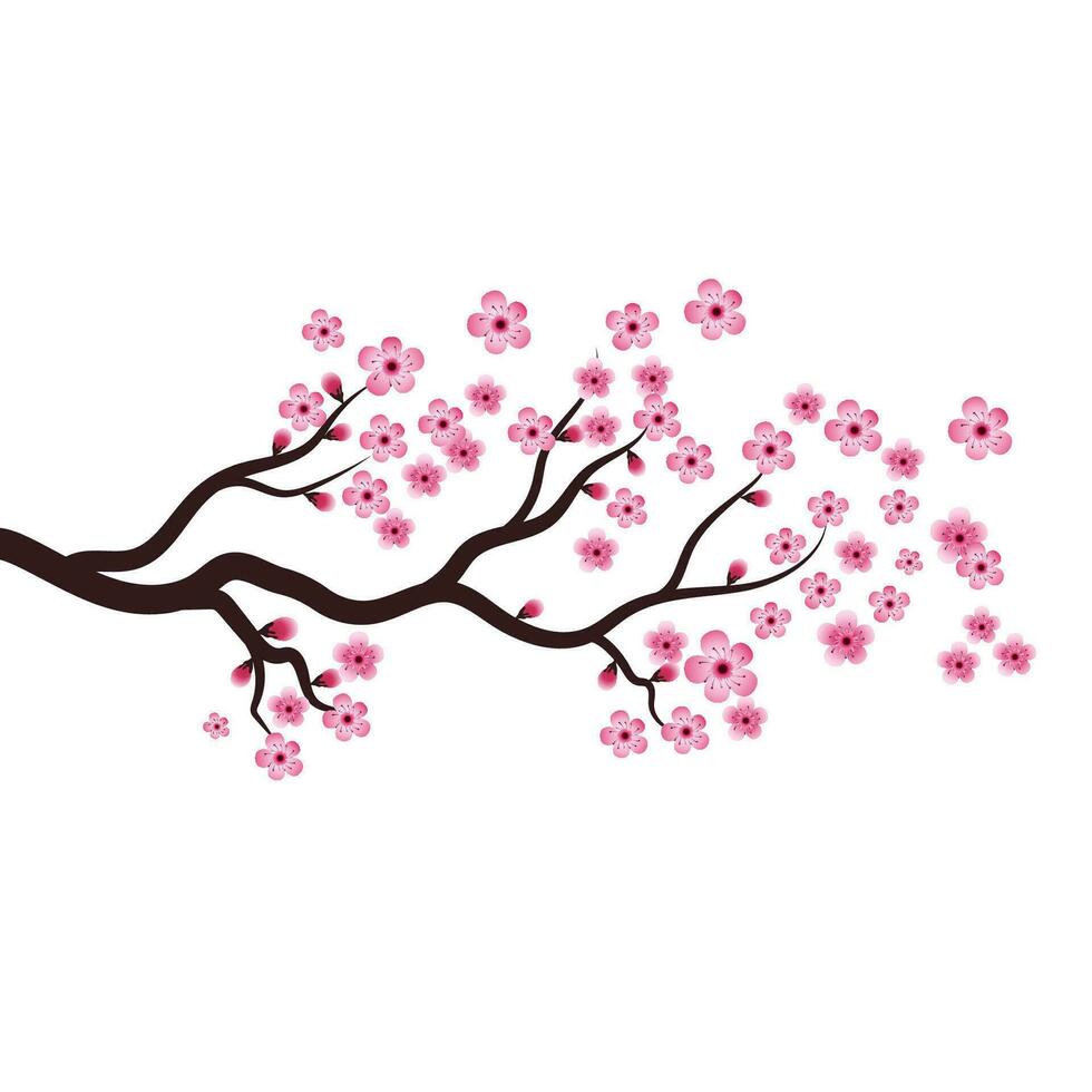 icono de vector de flor de belleza de sakura