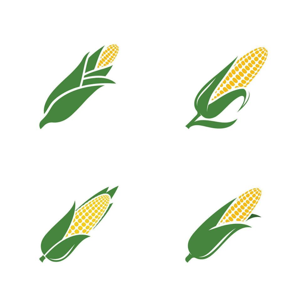 Agriculture corn vector icon design