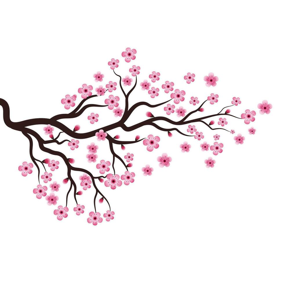 icono de vector de flor de belleza de sakura