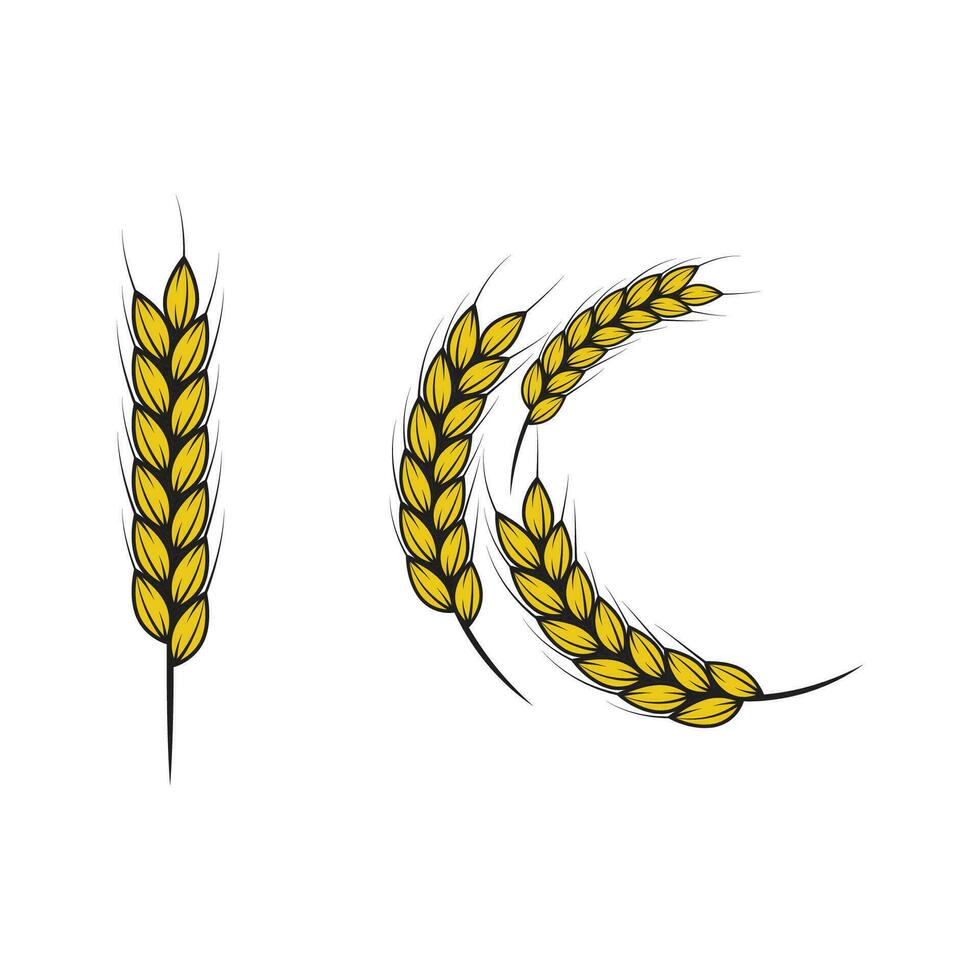 agricultura arroz vector icono ilustración