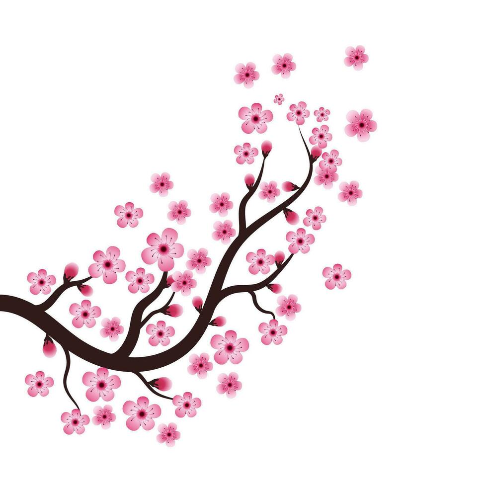 Sakura Beauty flower Vector icon