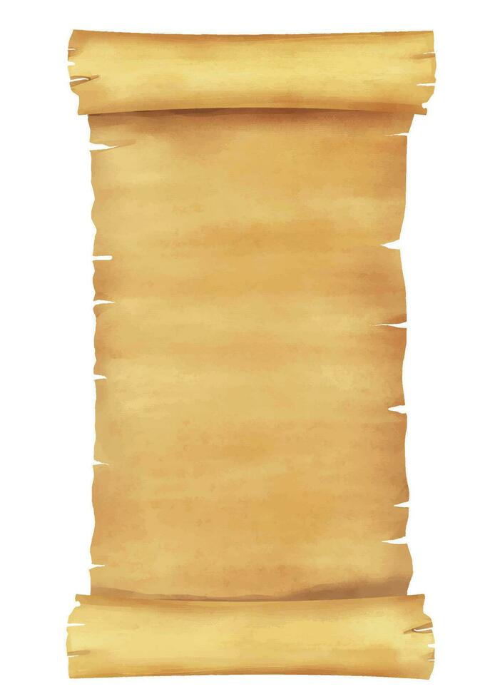 old scroll paper vertical vector