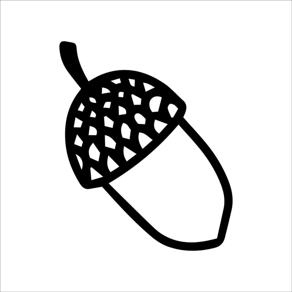 Vector acorn, oak fruit isolated on white background icon. Illustration for seasonal design, textile, decoration kids playroom or greeting card, autumn and halloween. Hand drawn prints and doodle.