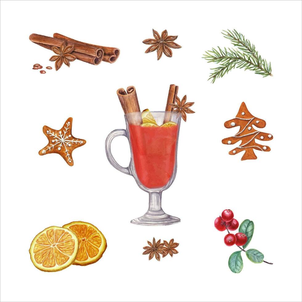 Winter beverage ingredients set. Hot spicy punch. Red berries, spruce branch, gingerbread cookies. vector