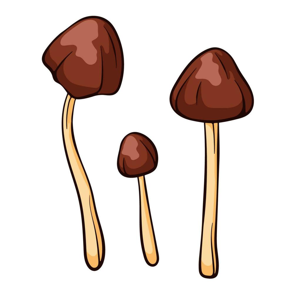 Conocybe Filaris inedible mushroom in cartoon style. Poisonous food sketch. Vector illustration isolated on a white background. Deadly fungus Pholiotina rugosa. Filaria.