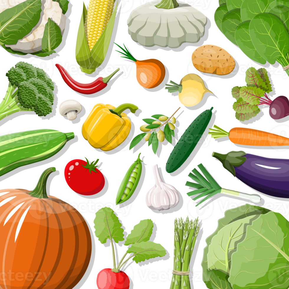 Big vegetable isolated icon set. png