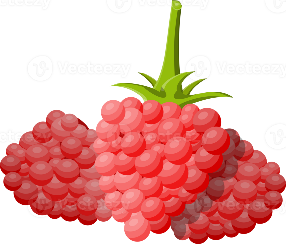 Berries with green leaves png
