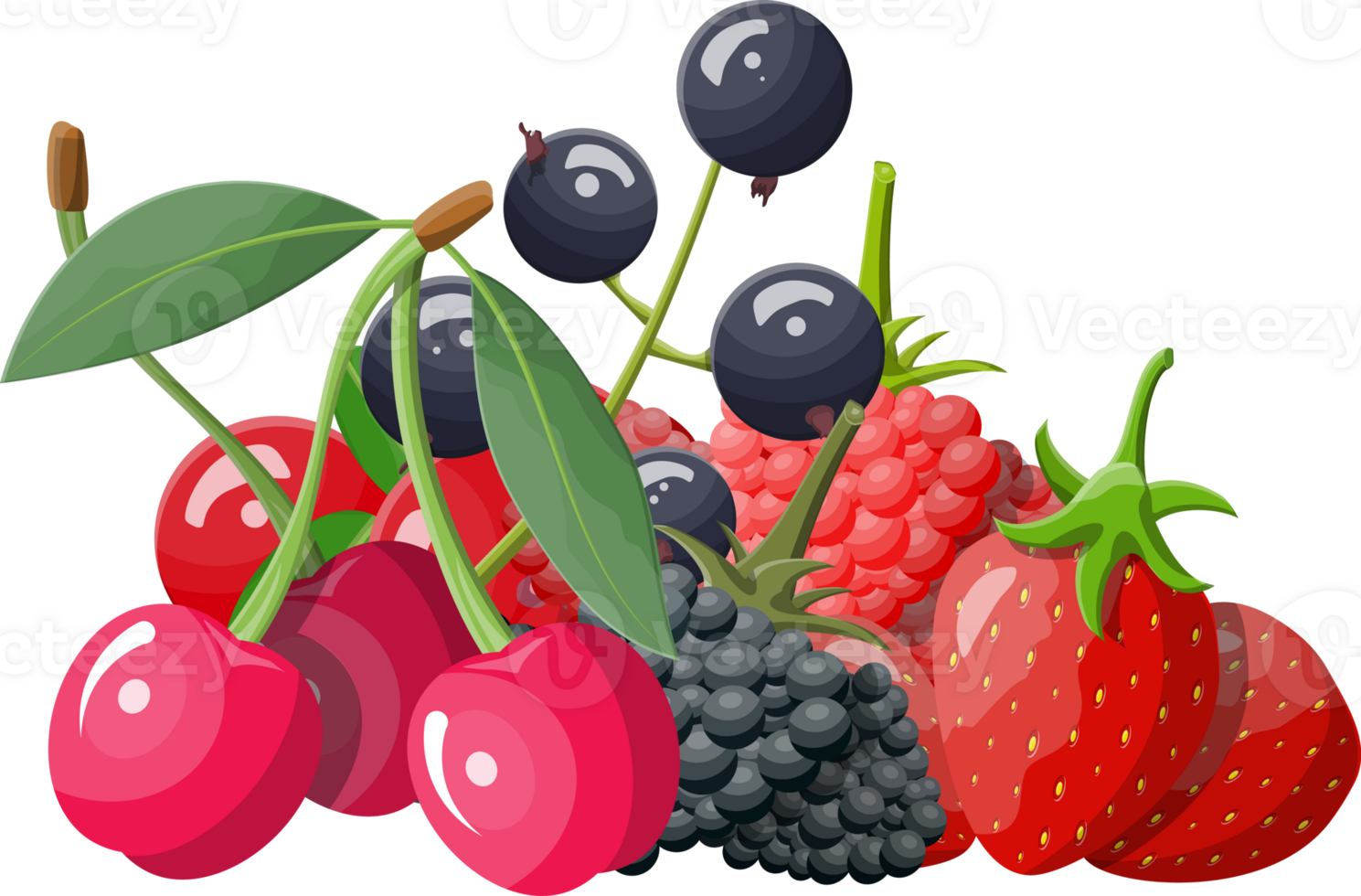 Berries with green leaves png
