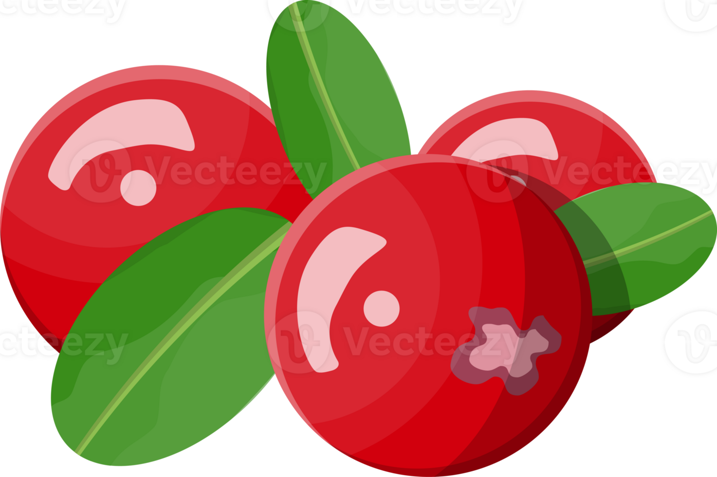Berries with green leaves png