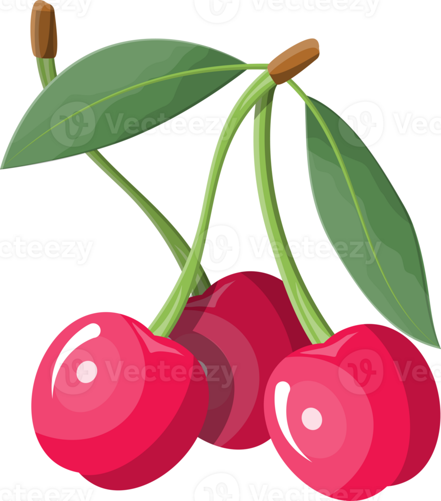 Berries with green leaves png
