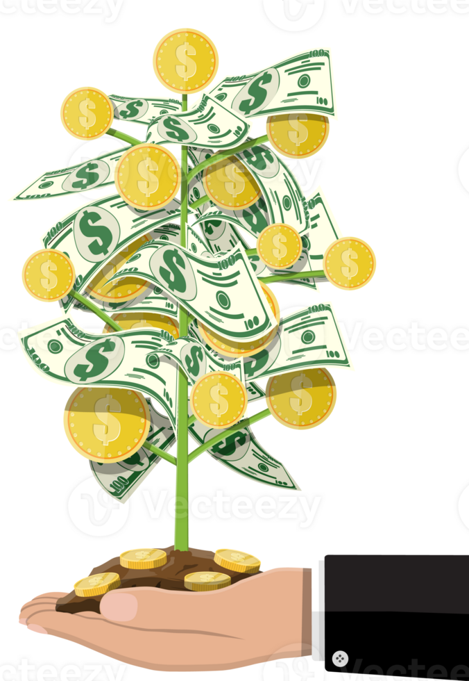 Money tree with golden coins and banknotes 35774931 PNG