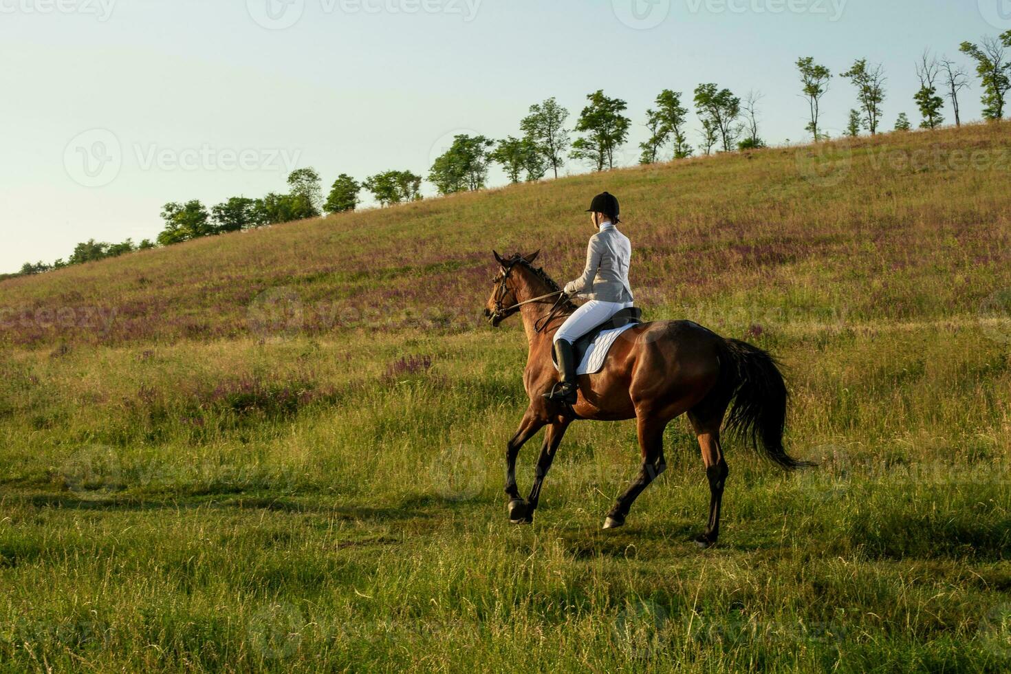 Young woman rider with her horse in evening sunset light. Outdoor photography in lifestyle mood photo