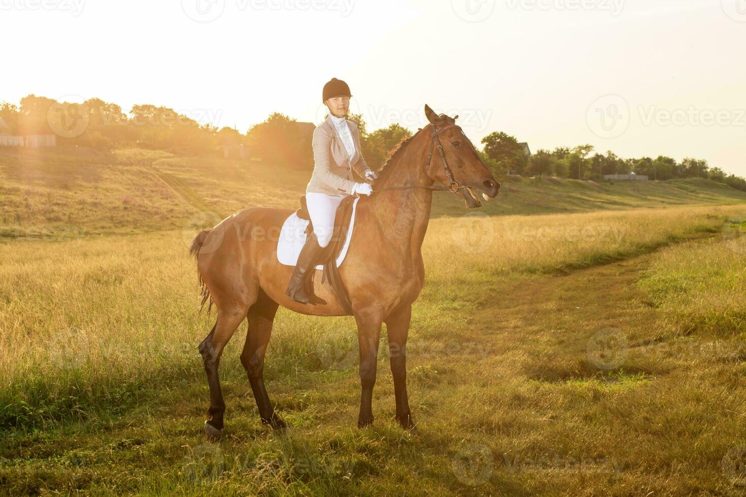 Equestrian sport. Young woman riding horse on dressage advanced test. Sun flare photo