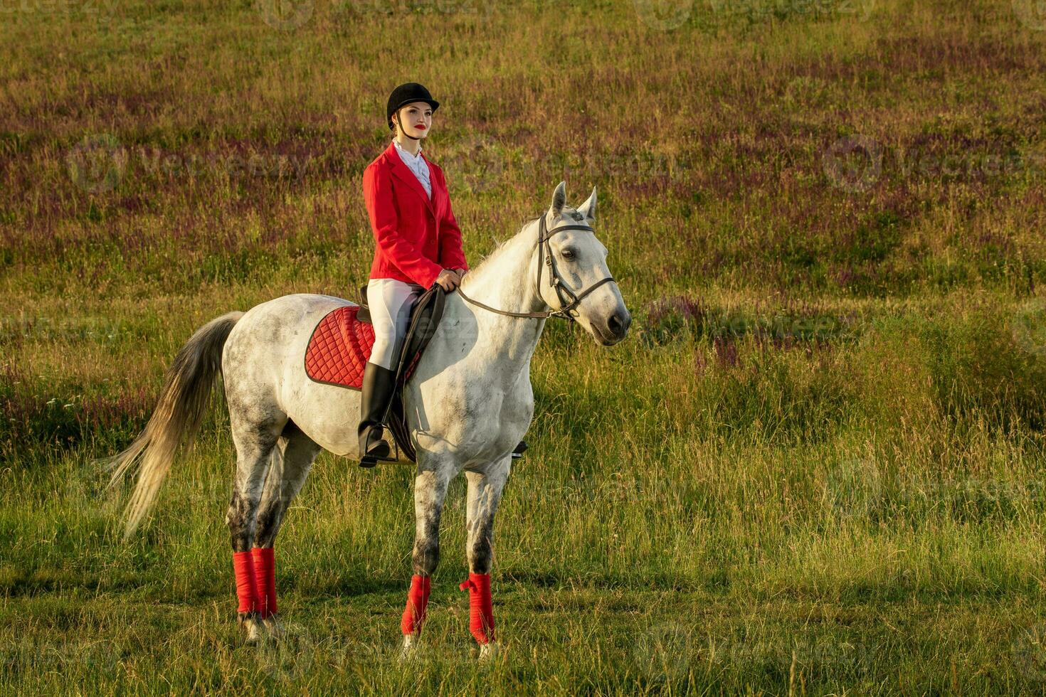 The horsewoman on a red horse. Horse riding. Horse racing. Rider on a horse. photo