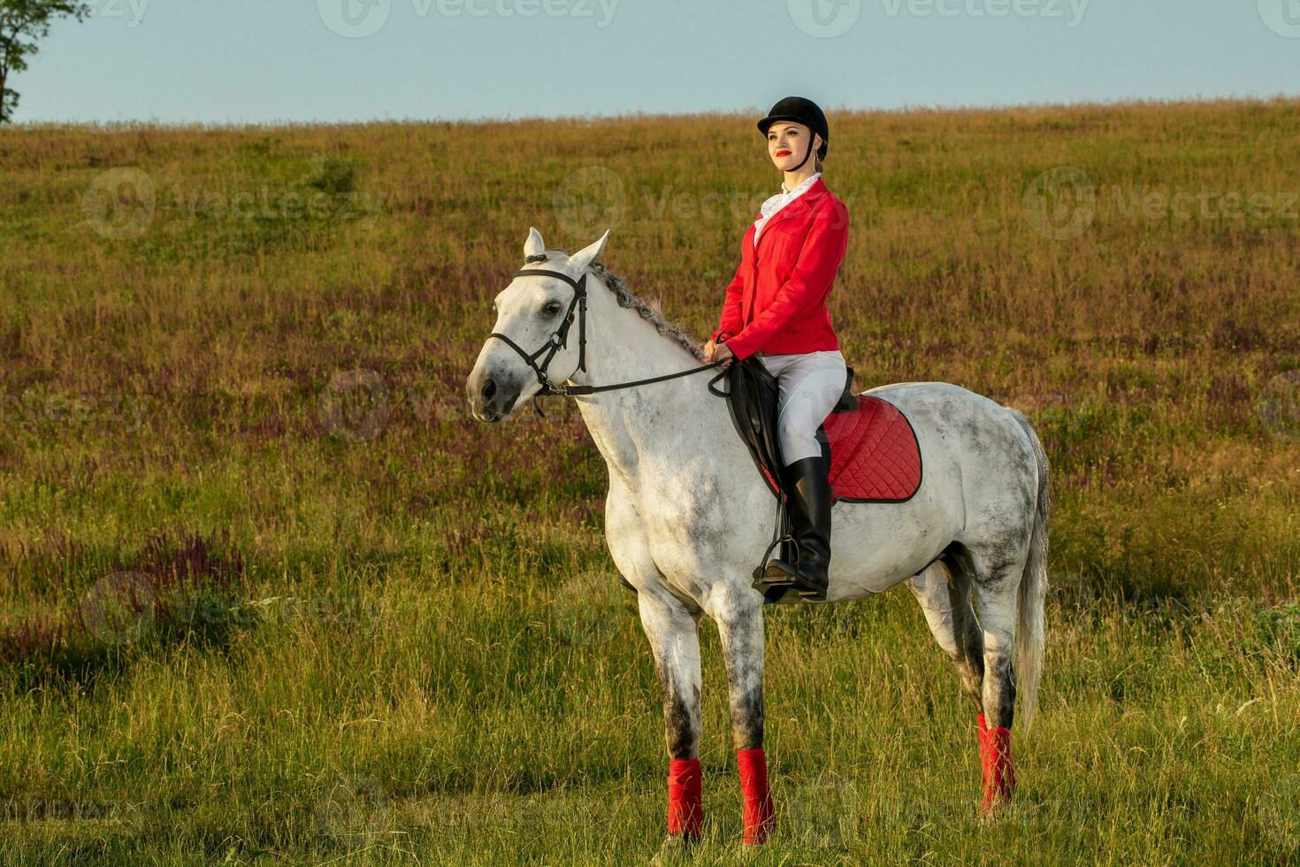 The horsewoman on a red horse. Horse riding. Horse racing. Rider on a horse. photo