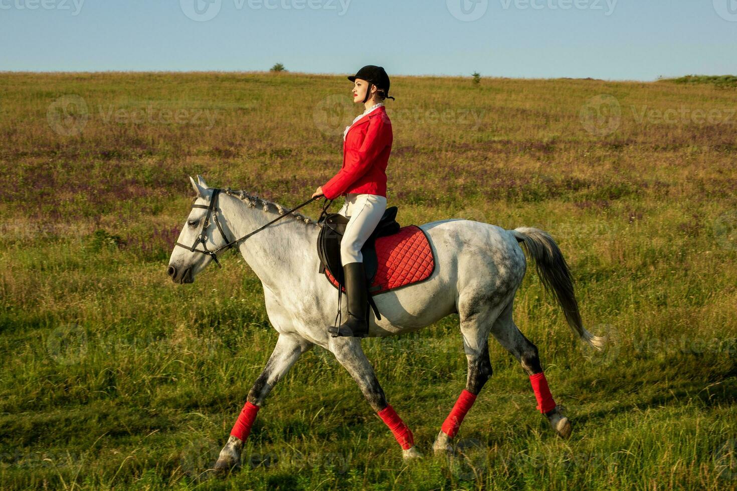 The horsewoman on a red horse. Horse riding. Horse racing. Rider on a horse. photo