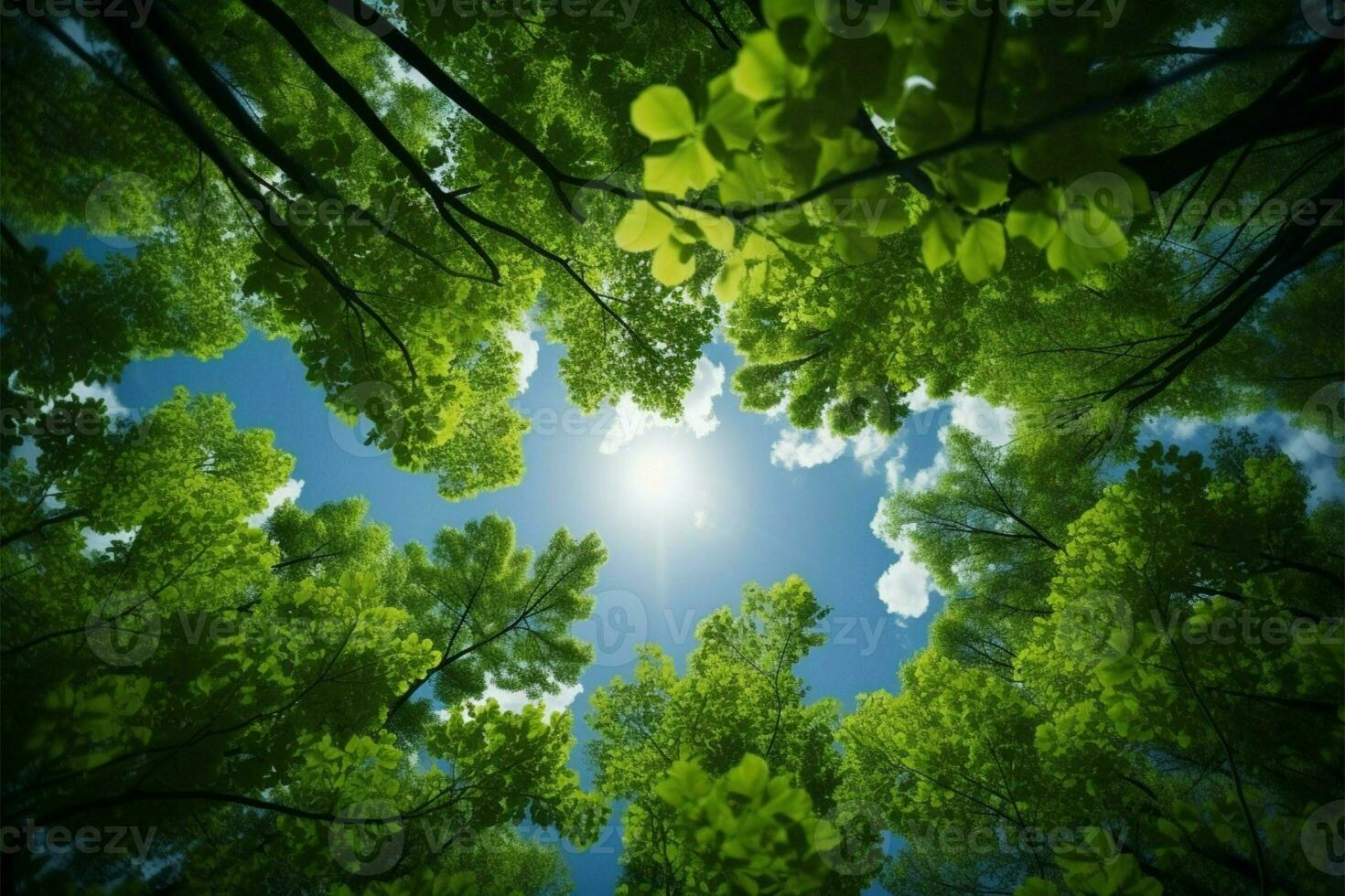 AI generated Tree heights Observing the green tops of trees from below photo