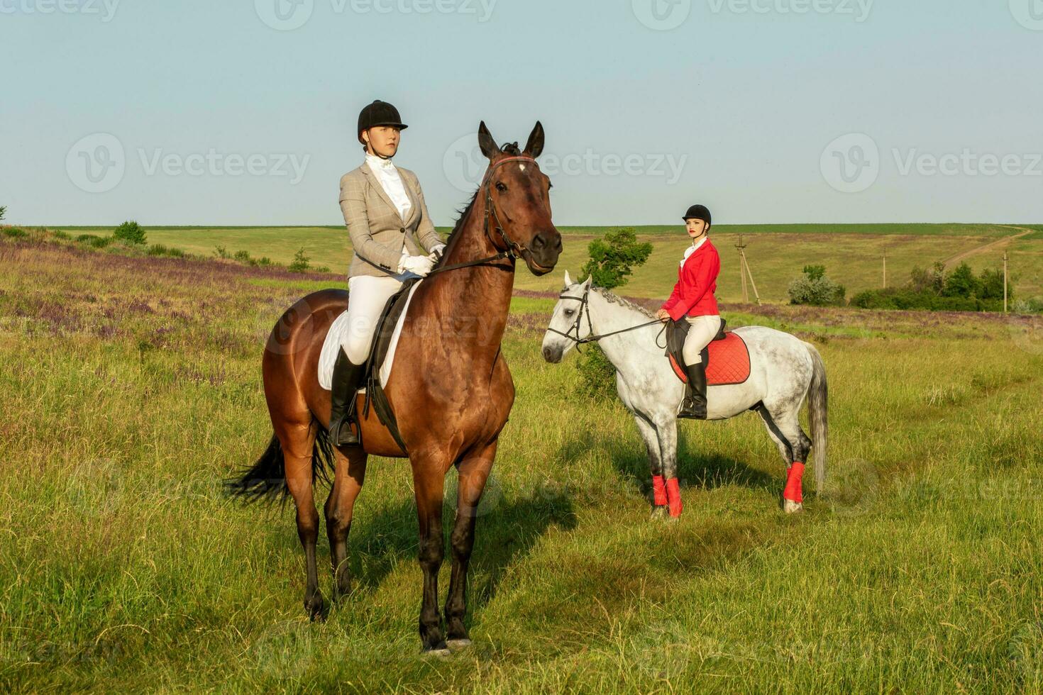 Horseback riders. Two attractive women ride horses on a green meadow photo