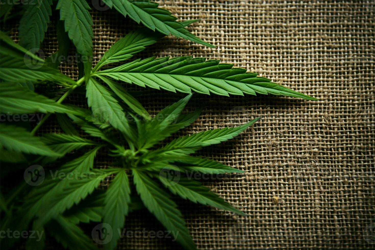 AI generated Hemp backdrop Cannabis leaves on the natural, textured hemp background photo