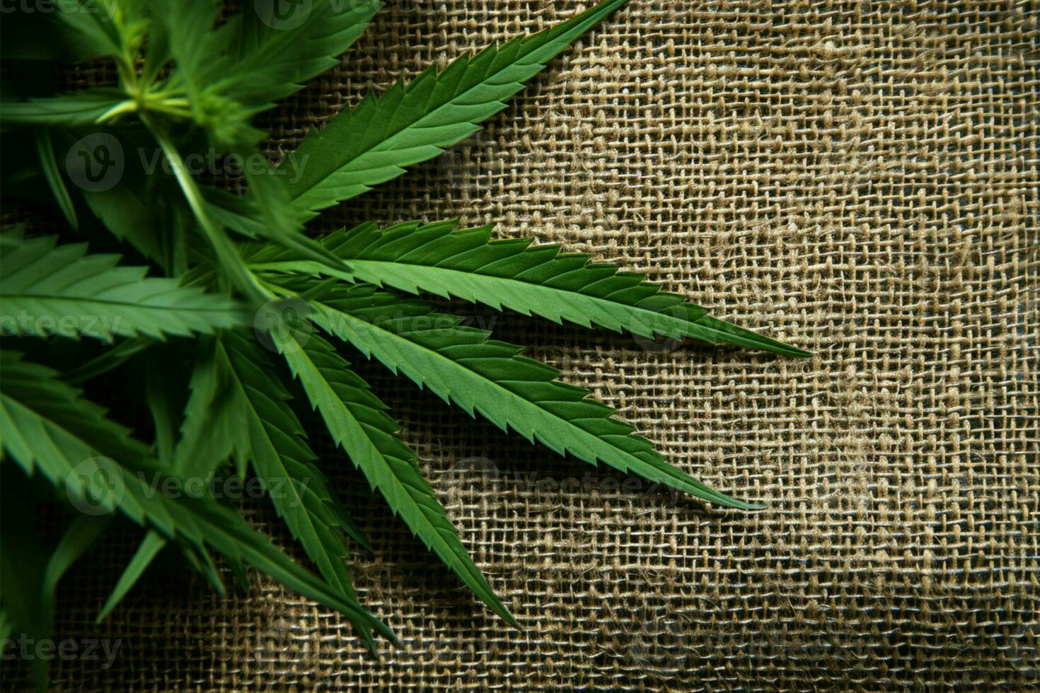 AI generated Hemp aesthetics Cannabis leaves on a textured hemp textile background photo