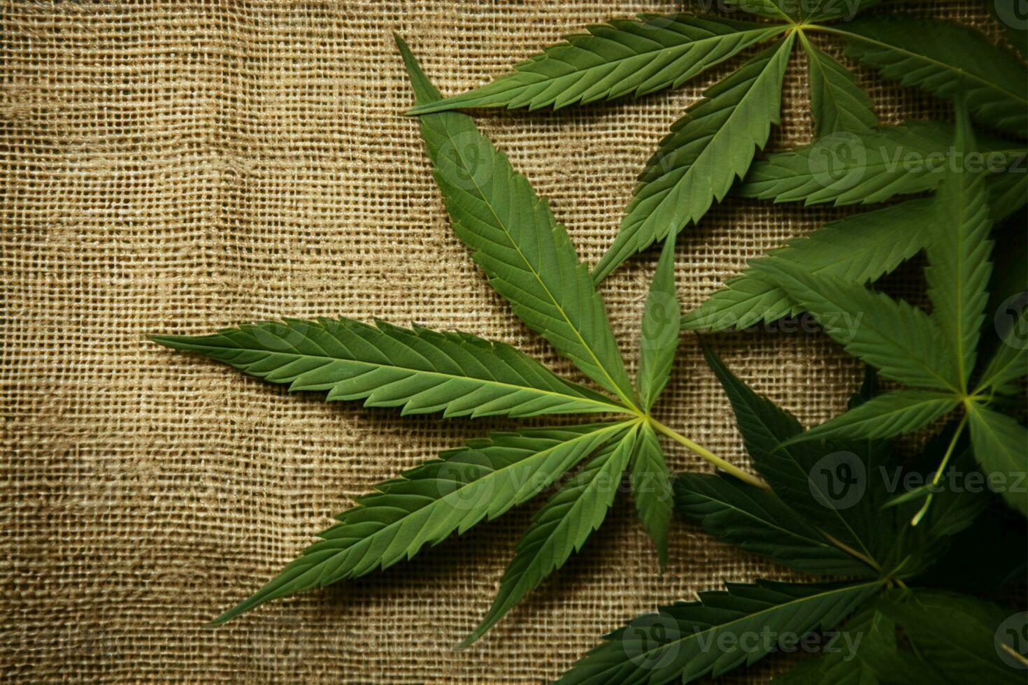 AI generated Hemp backdrop Cannabis leaves on the natural, textured hemp background photo