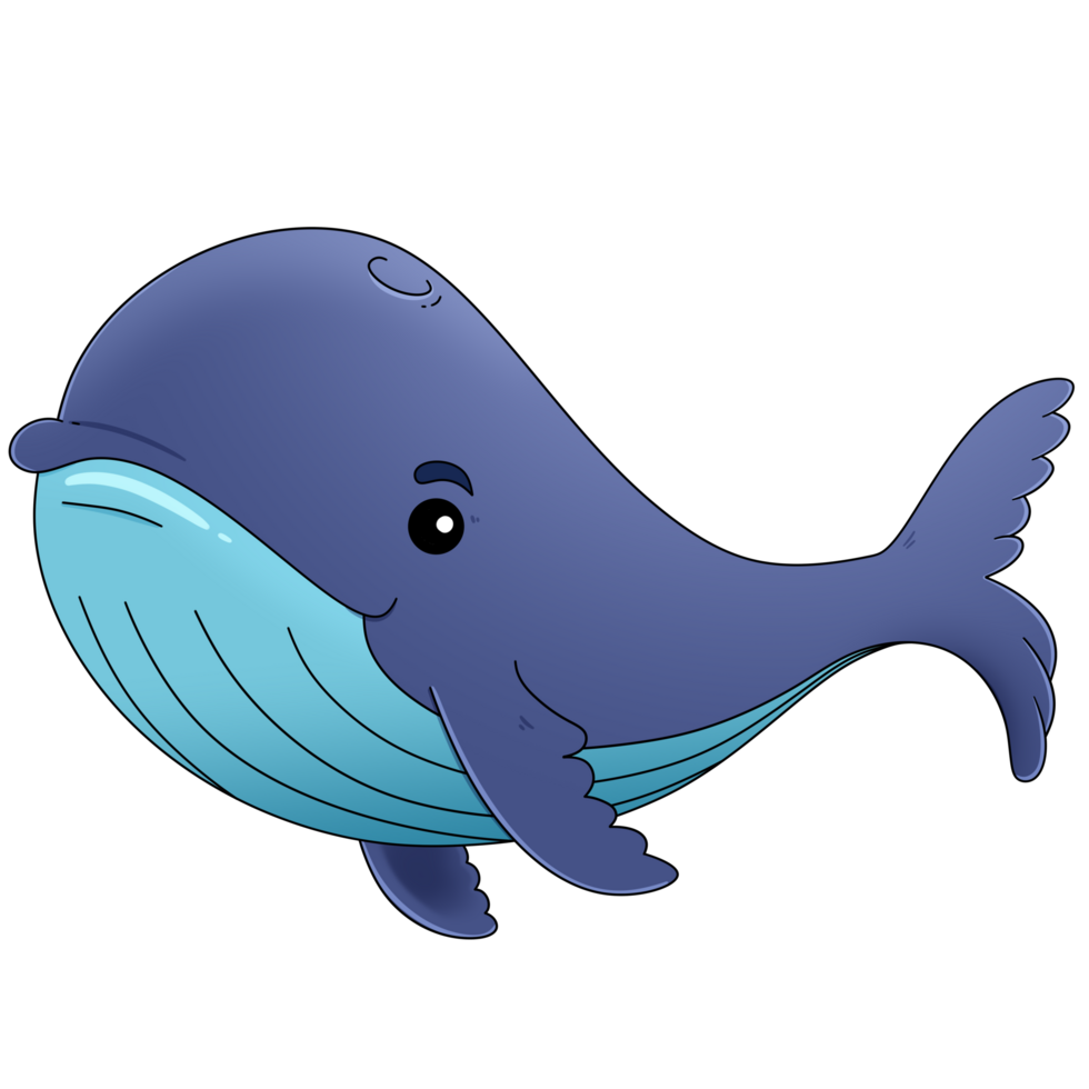 Humpback Whale Cute Cartoon Sea Animal png